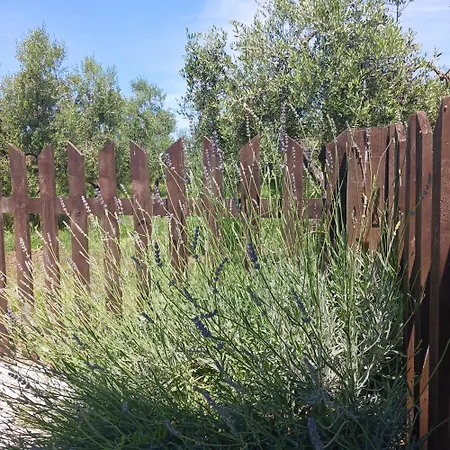 Casale Nonna Elisa Relax Tra Ulivi San Vito Chietino